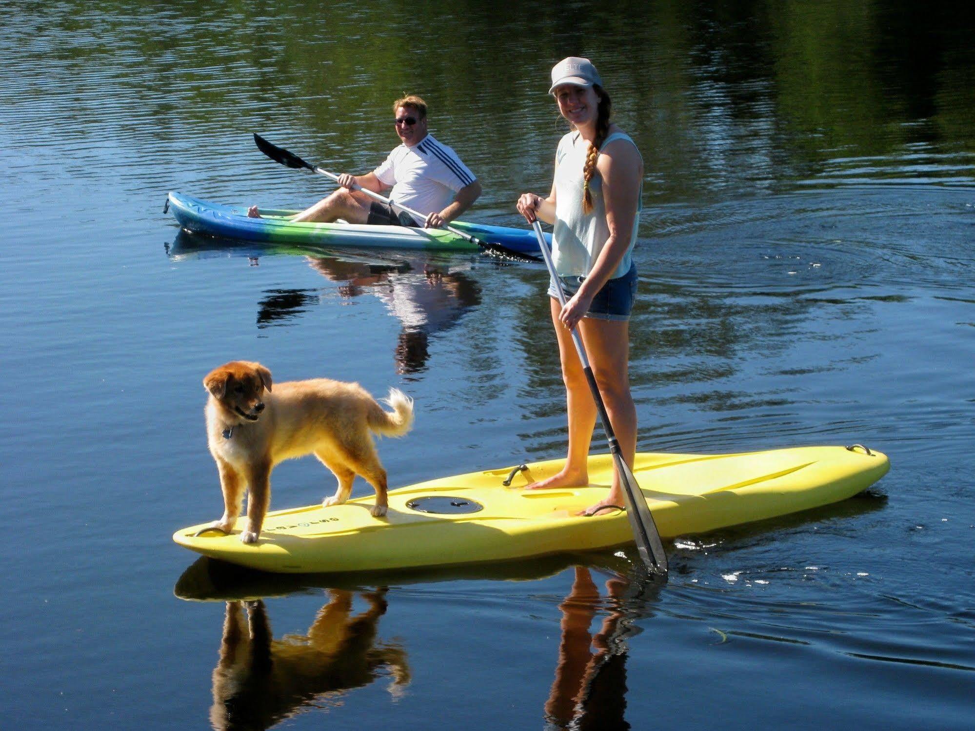 Flip Flop Cottages - Siesta Key Gulf Gate Estates Eksteriør billede